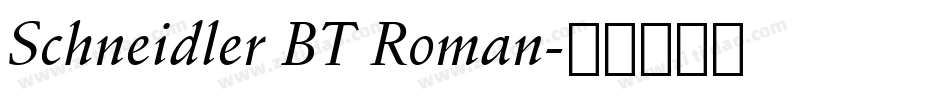 Schneidler BT Roman字体转换